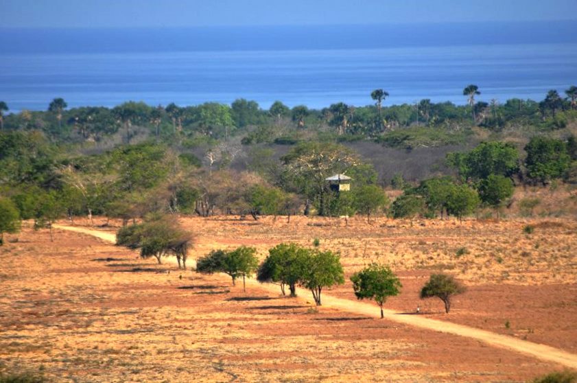 AFRICA VAN JAVA by NITA KURNIA PURADIREDJA